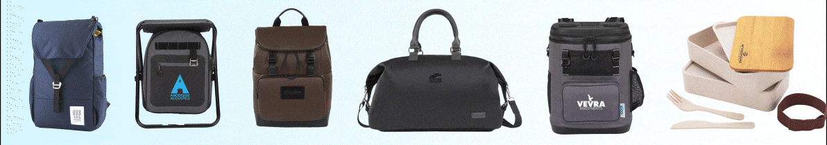 Summer Collection 2024